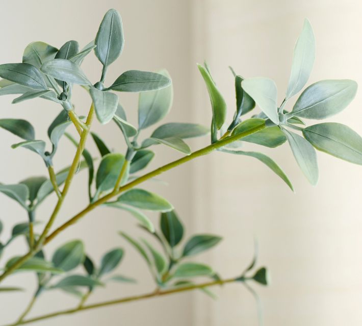 7'H Faux Black Olive Tree - From Where - 