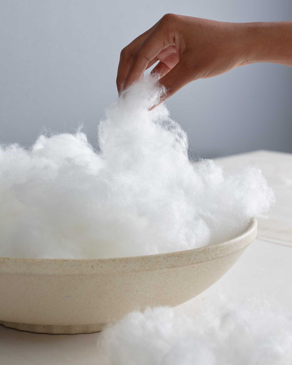 Premium Down Alternative Pillow