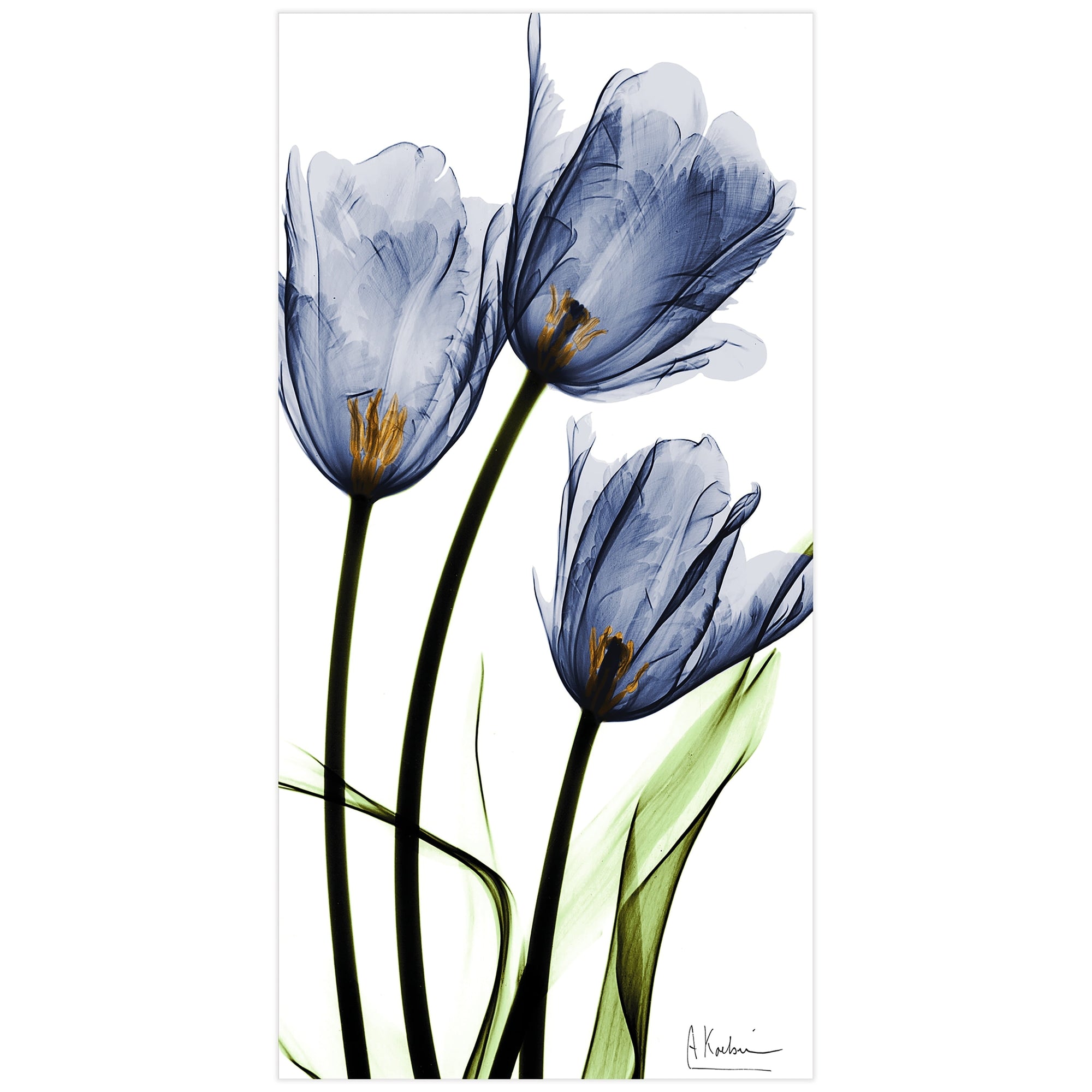 Flower 24 in x 48 in Painting Art Prints, by Empire Art