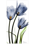 Flower 24 in x 48 in Painting Art Prints, by Empire Art