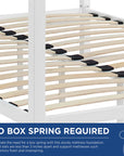 Raina Canopy Bed Frame