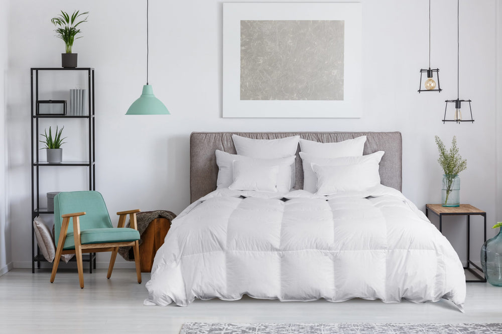 Organa WGD Comforter