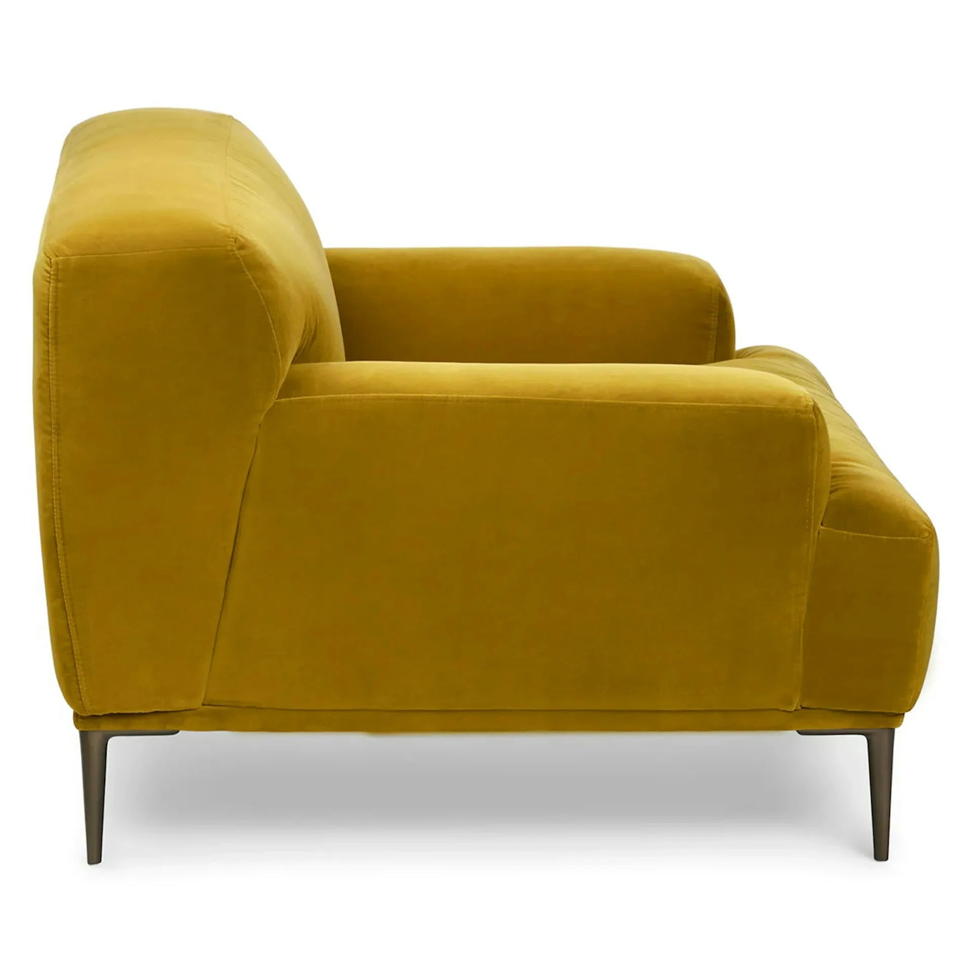 Abisko 42.5" Velvet Lounge Chair - From Where Finds - 