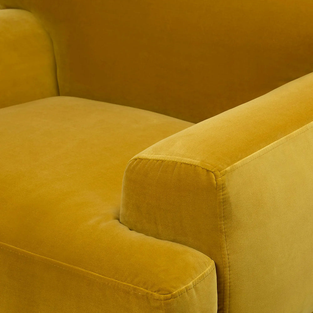 Abisko 42.5" Velvet Lounge Chair - From Where Finds - 