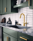 Align One - Handle High Arc Pulldown Kitchen Faucet - From Where Finds - 
