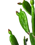 AllModern Artificial Potted Cactus - From Where - 