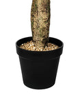 AllModern Artificial Potted Cactus - From Where - 