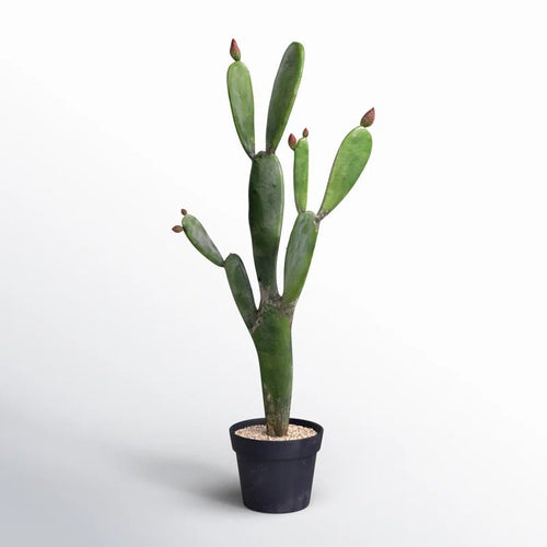 AllModern Artificial Potted Cactus - From Where - 