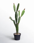 AllModern Artificial Potted Cactus - From Where - 