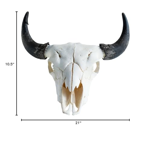 American Bison (Buffalo) Skull Wall Art - From Where - 