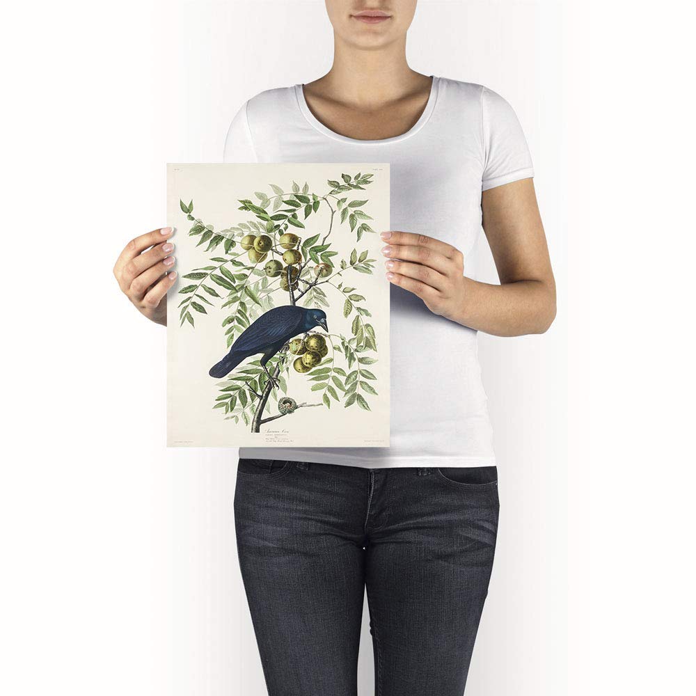 Antique Bird Framed Painting - From Where - 