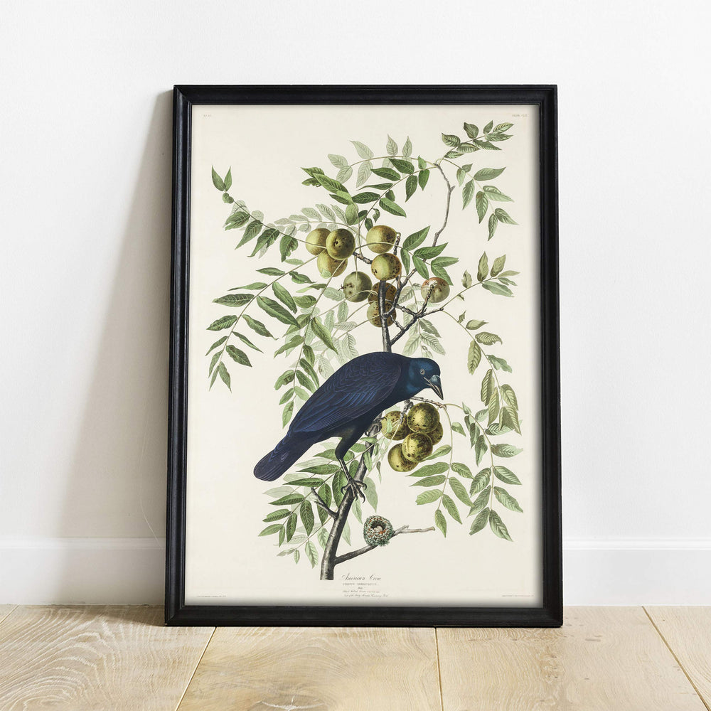 Antique Bird Framed Painting - From Where - 