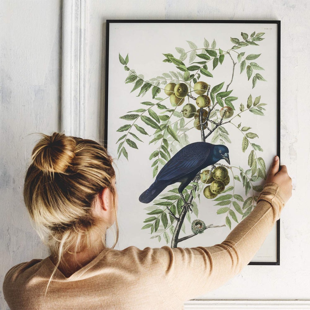 Antique Bird Framed Painting - From Where - 
