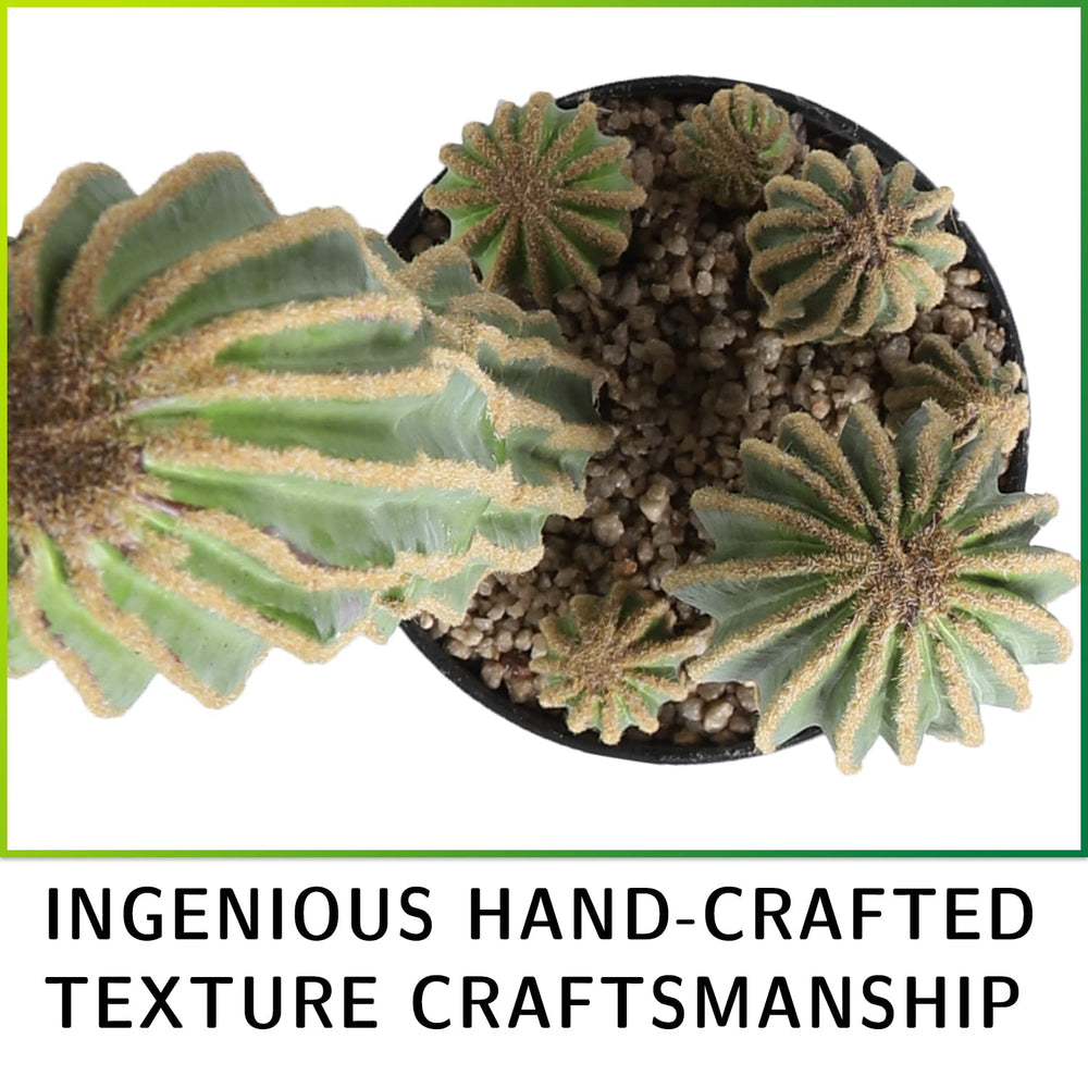 Artificial 24" Cactus - From Where - 