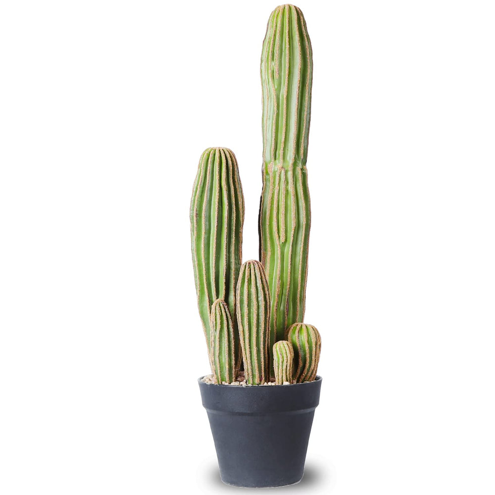 Artificial 24" Cactus - From Where - 