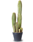 Artificial 24" Cactus - From Where - 