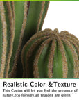 Artificial 24" Cactus - From Where - 