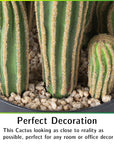 Artificial 24" Cactus - From Where - 