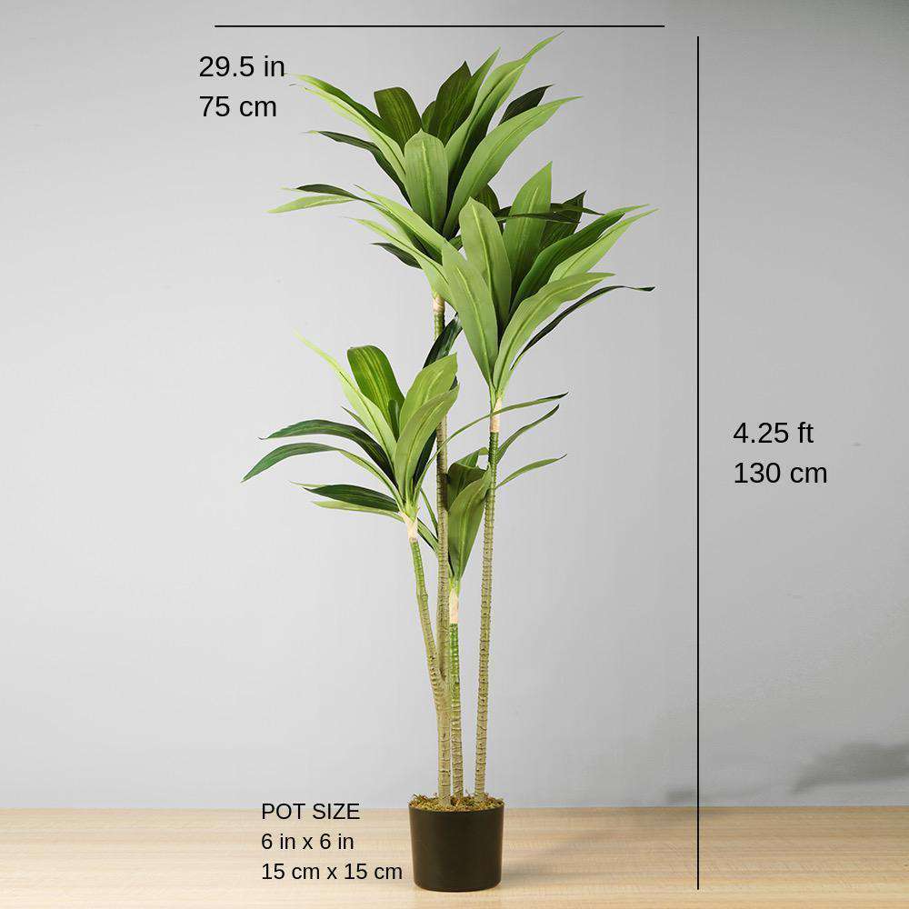 Artificial Dracaena Fragrans Potted Plant - From Where - 