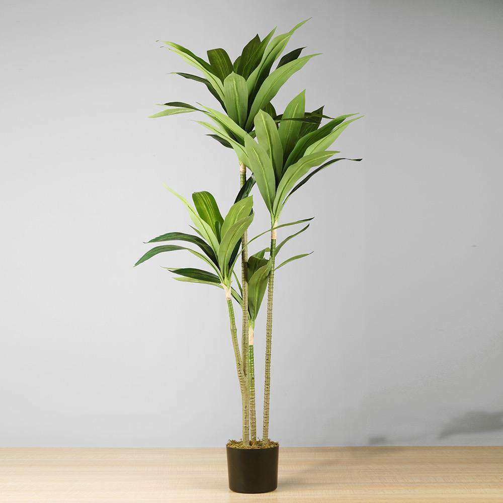 Artificial Dracaena Fragrans Potted Plant - From Where - 