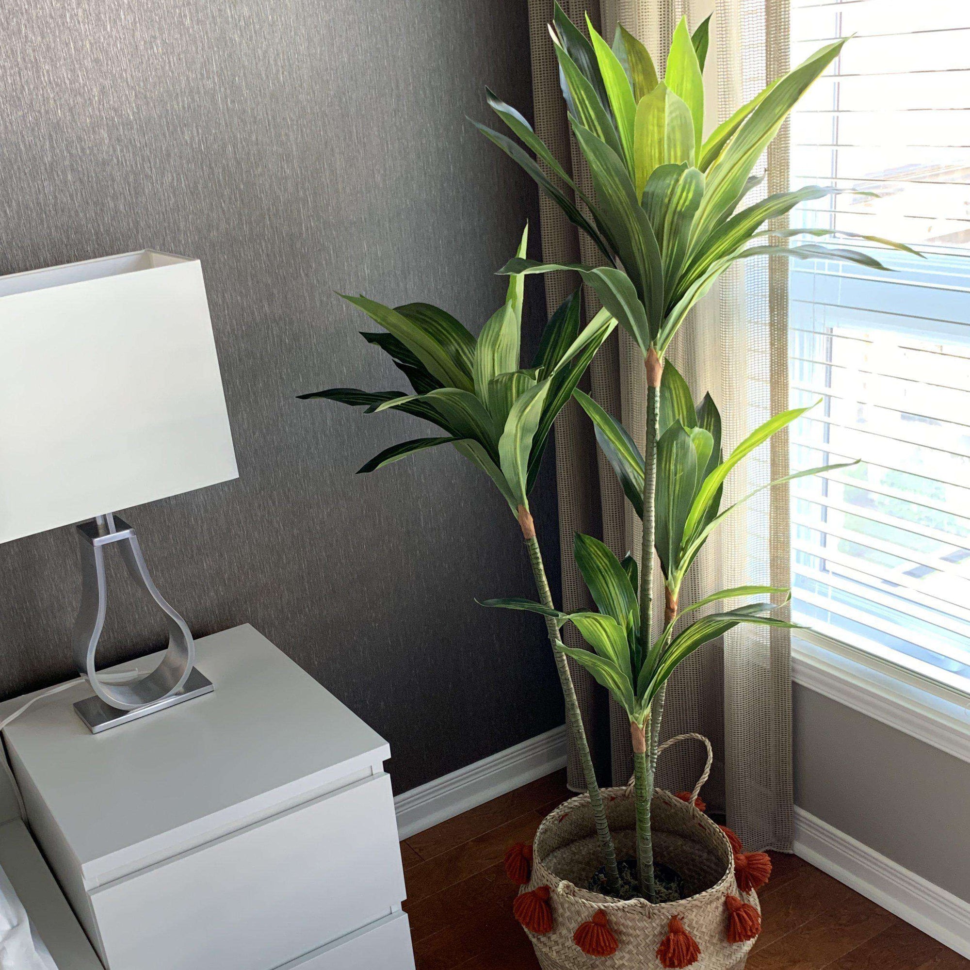 Artificial Dracaena Fragrans Potted Plant - From Where - 
