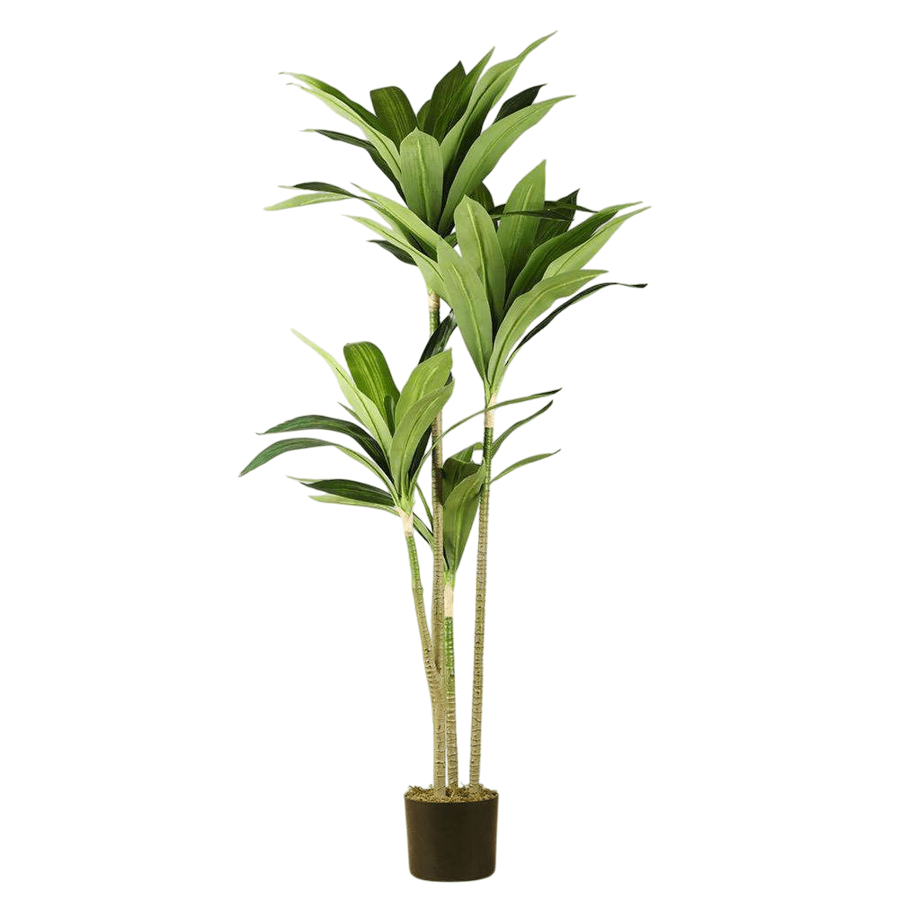 Artificial Dracaena Potted Plant - From Where - 