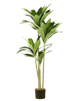 Artificial Dracaena Potted Plant - From Where - 
