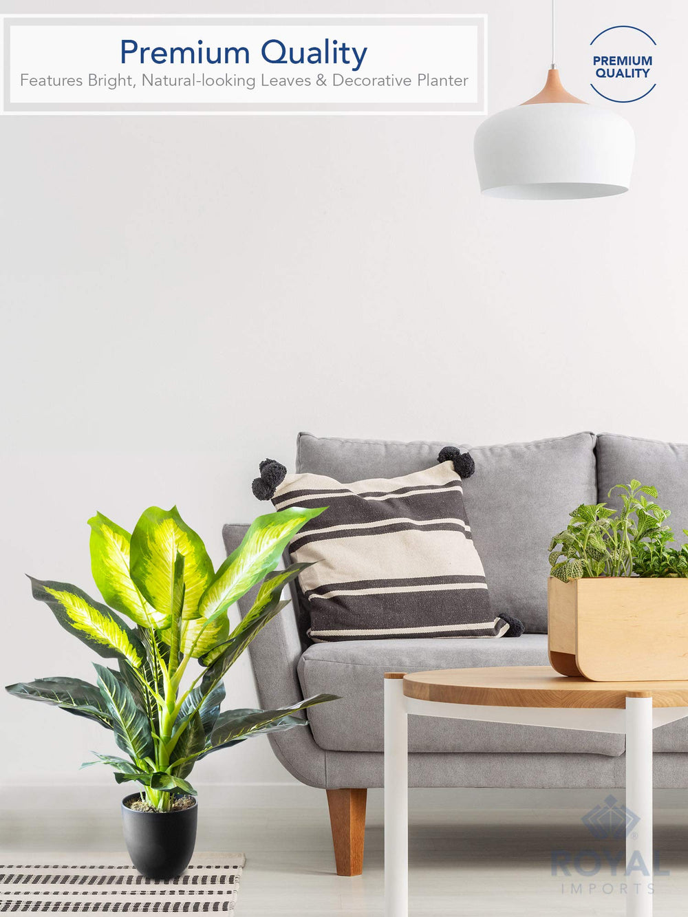 Artificial Golden Dieffenbachia Plant - From Where - 