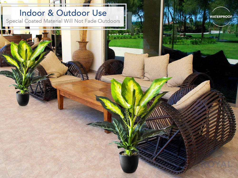 Artificial Golden Dieffenbachia Plant - From Where - 