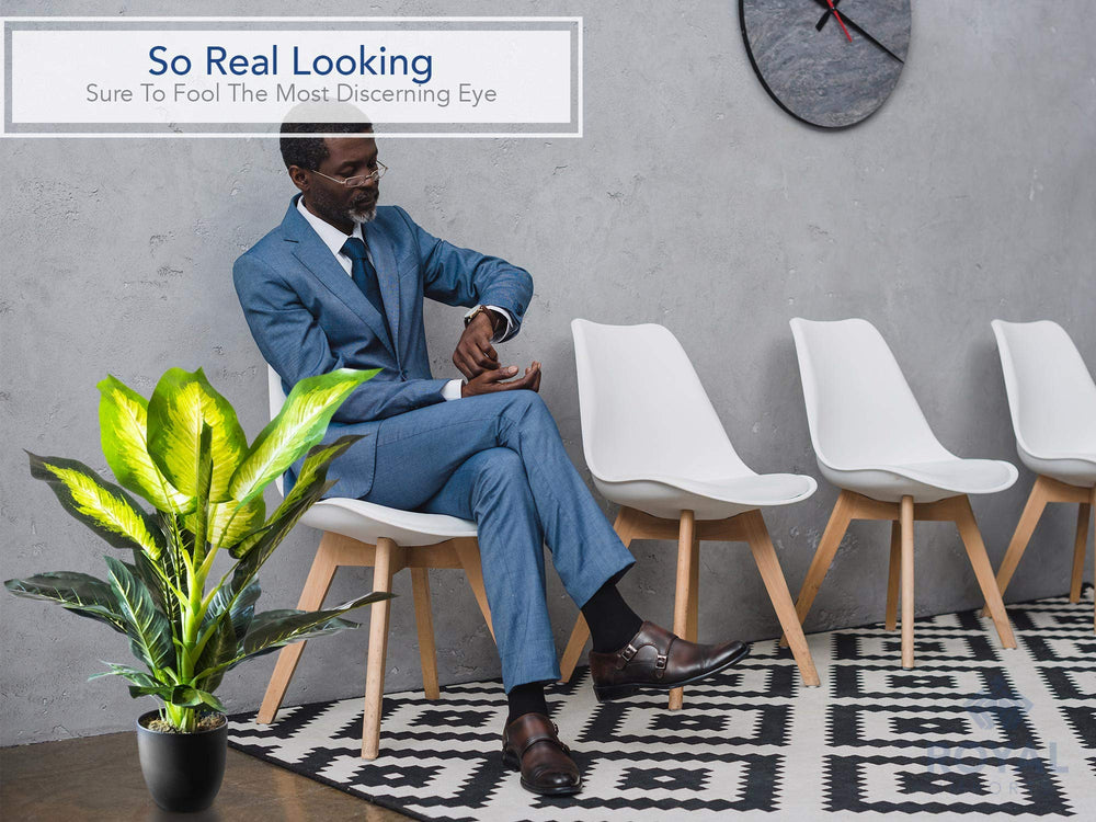 Artificial Golden Dieffenbachia Plant - From Where - 