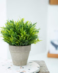 Artificial Grass Potted Plant - From Where - 