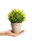 Artificial Grass Potted Plant - From Where - 