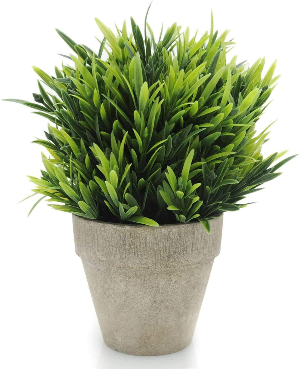 Artificial Grass Potted Plant - From Where - 