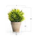 Artificial Grass Potted Plant - From Where - 