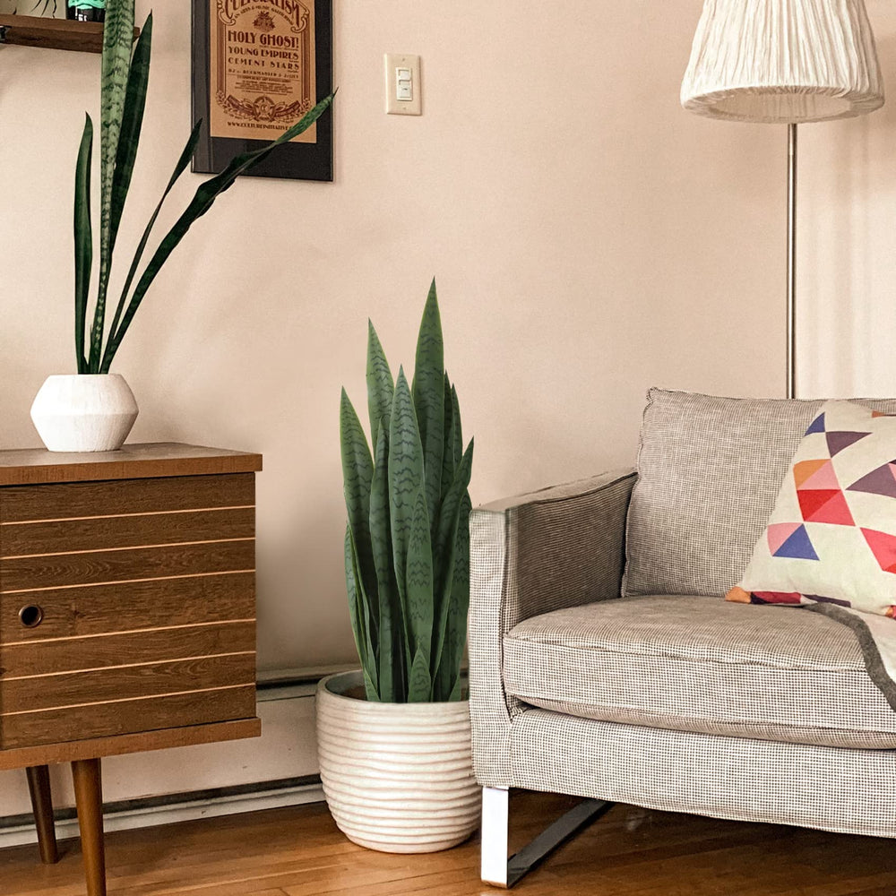 Artificial Indoor/Outdoor Snake Plant - From Where - 