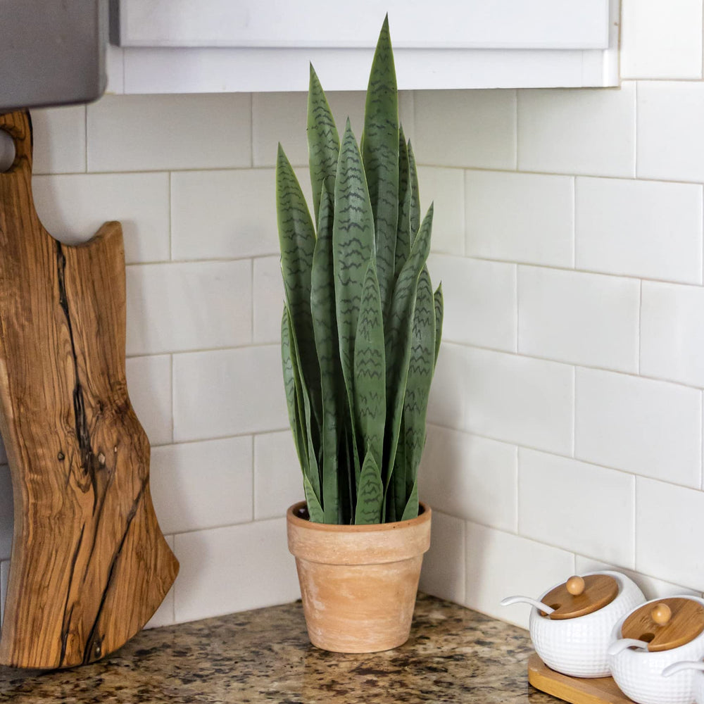 Artificial Indoor/Outdoor Snake Plant - From Where - 