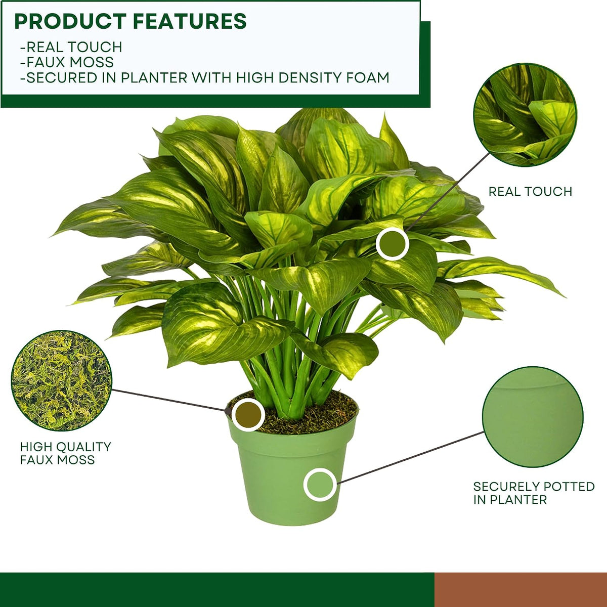 Artificial Large Hosta Plant - From Where Finds -