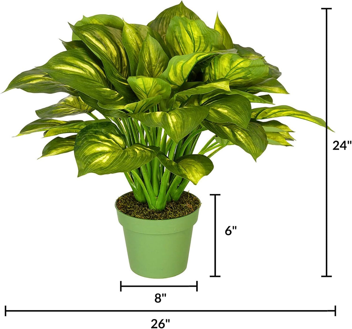 Artificial Large Hosta Plant - From Where Finds -