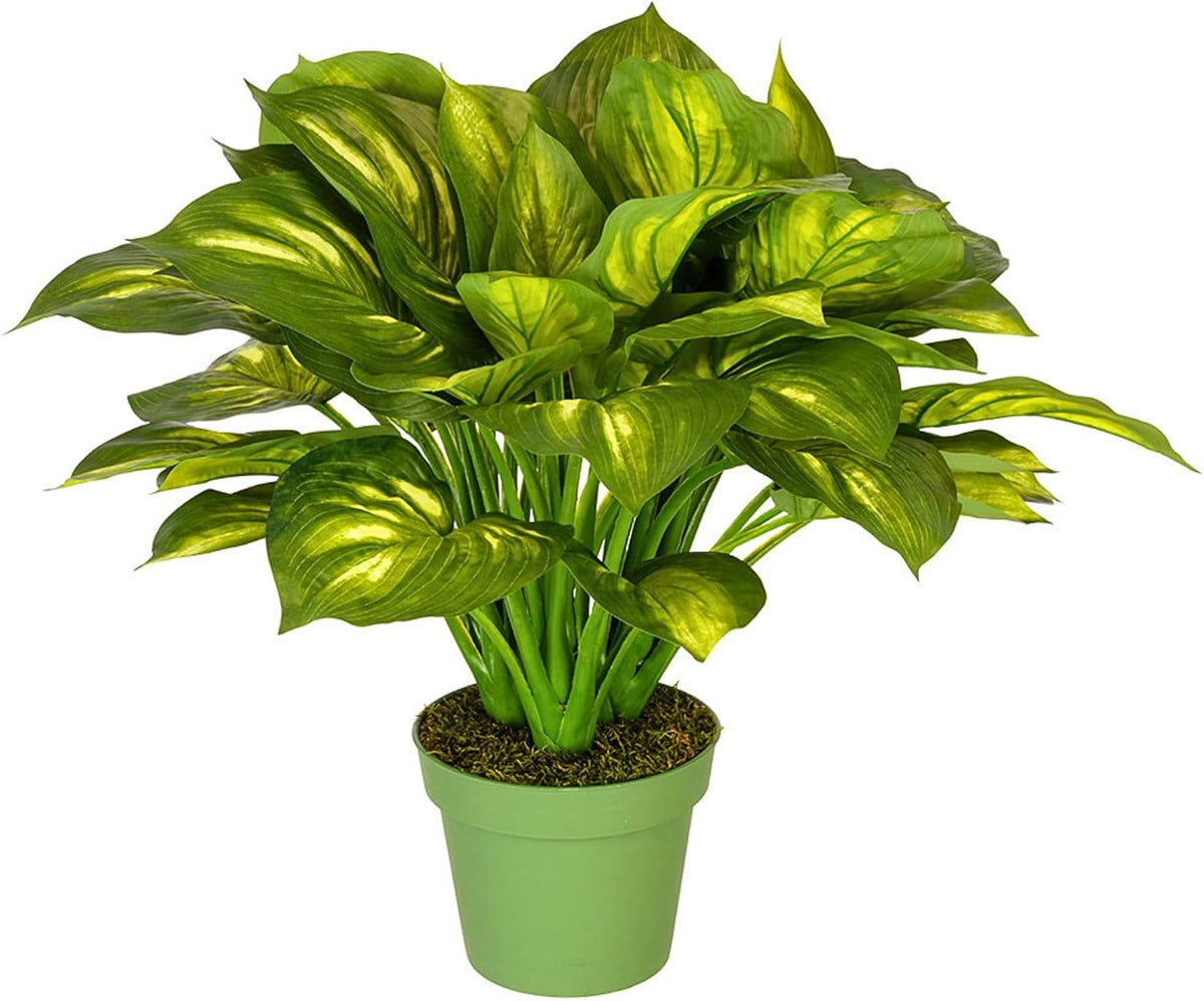 Artificial Large Hosta Plant - From Where Finds -