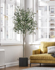 Artificial Olive Potted Tree 6ft Tall - From Where - 
