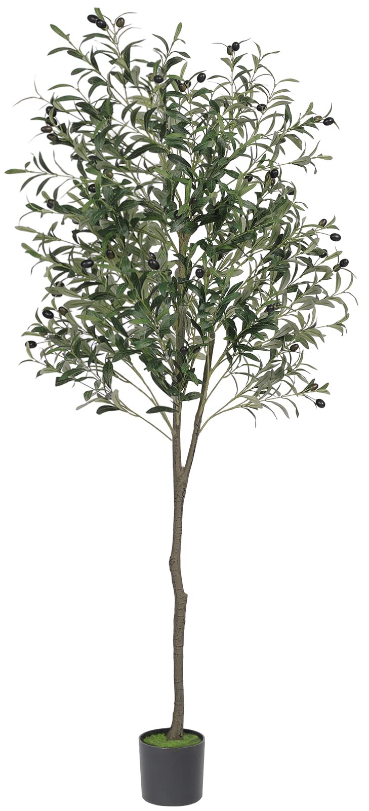 Artificial Olive Potted Tree 6ft Tall - From Where - 