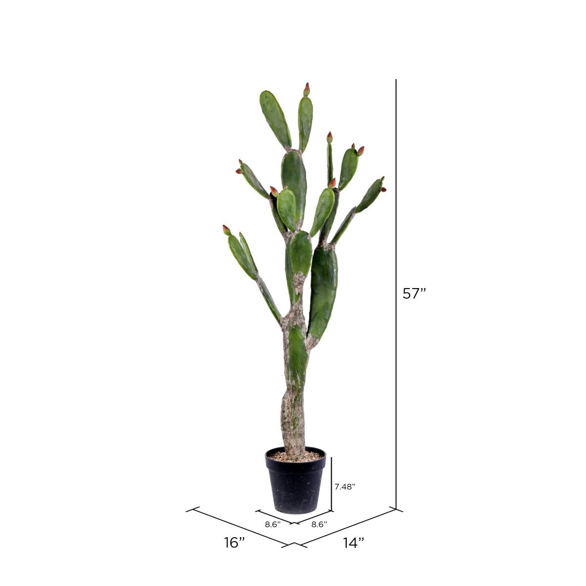 Artificial Potted Cactus - From Where - 