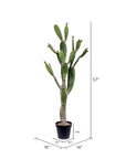 Artificial Potted Cactus - From Where - 