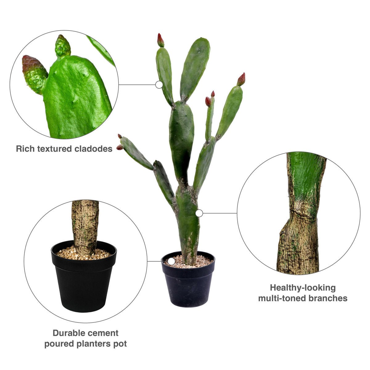 Artificial Potted Cactus - From Where - 