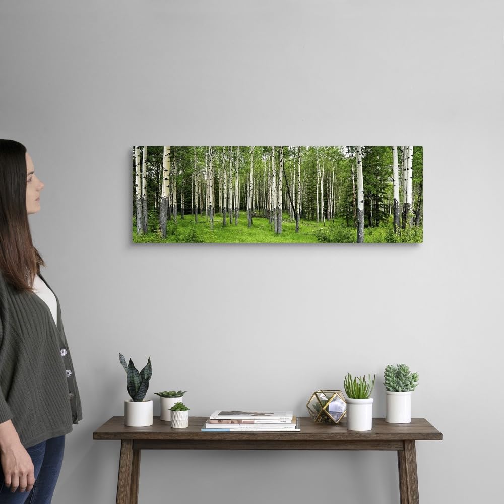 Aspen Trees in A Forest Wall Art - From Where - 