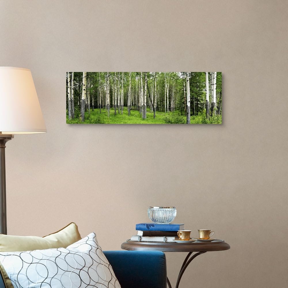 Aspen Trees in A Forest Wall Art - From Where - 
