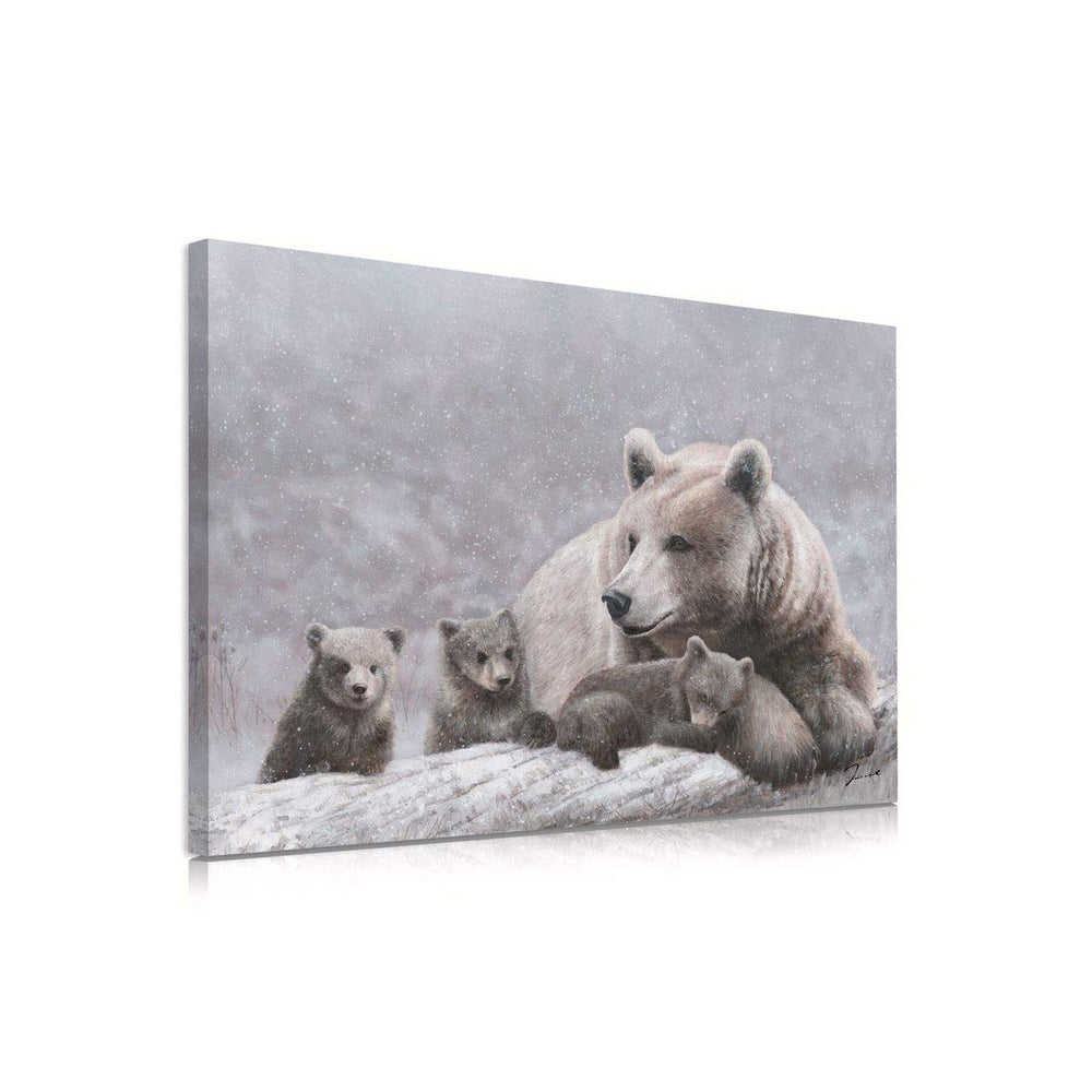 Bear Pictures Canvas Wall Art - From Where - 
