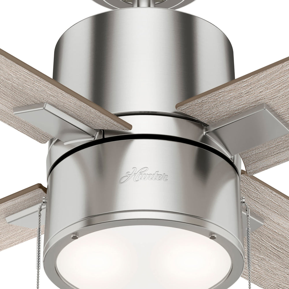 Beck Ceiling Fan - From Where - 