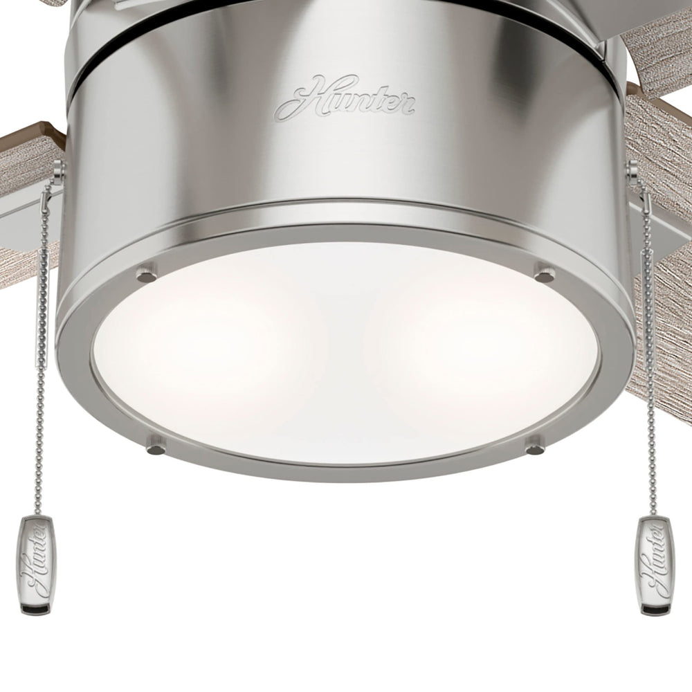 Beck Ceiling Fan - From Where - 