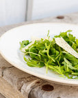 Beja Salad/Dessert Plate (Set of 6) - From Where Finds - 